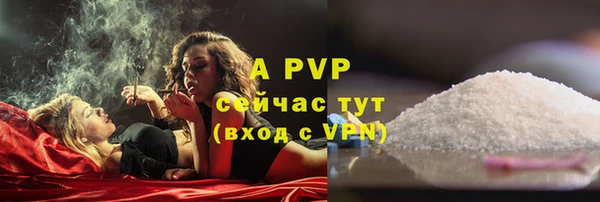 крисы Абаза