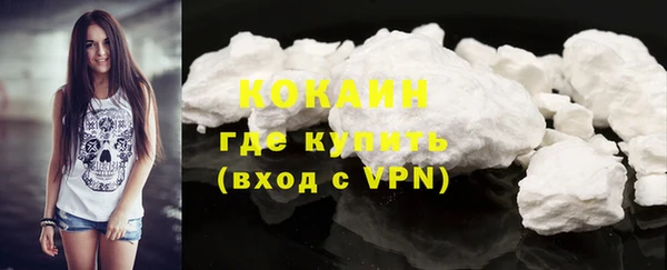 крисы Абаза