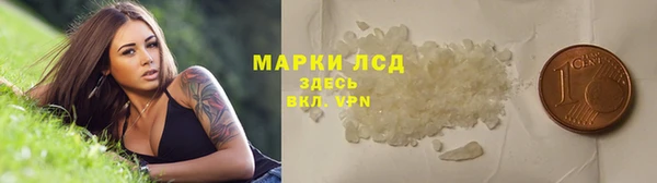 крисы Абаза