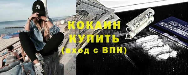 крисы Абаза