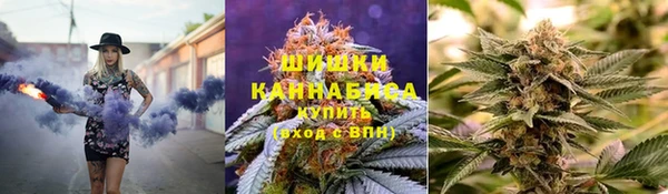 крисы Абаза