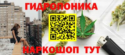 гидропоника Коммунар