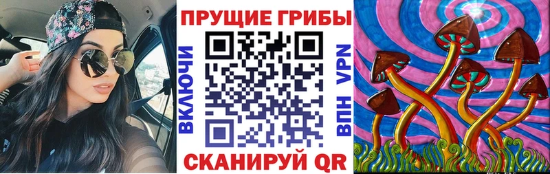 darknet как зайти  продажа наркотиков  Комсомольск-на-Амуре  Псилоцибиновые грибы Psilocybine cubensis 