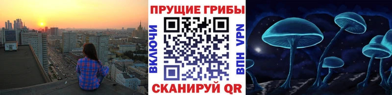 Галлюциногенные грибы мухоморы Комсомольск-на-Амуре